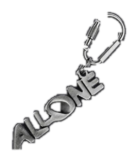 ALL ONE chrome key chain